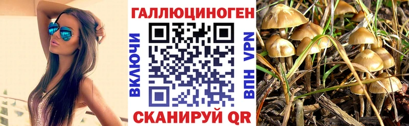 Галлюциногенные грибы Magic Shrooms Верхнеуральск